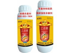 崇左柑橘青苔病防治指南 乙蒜素殺菌劑的神奇效果